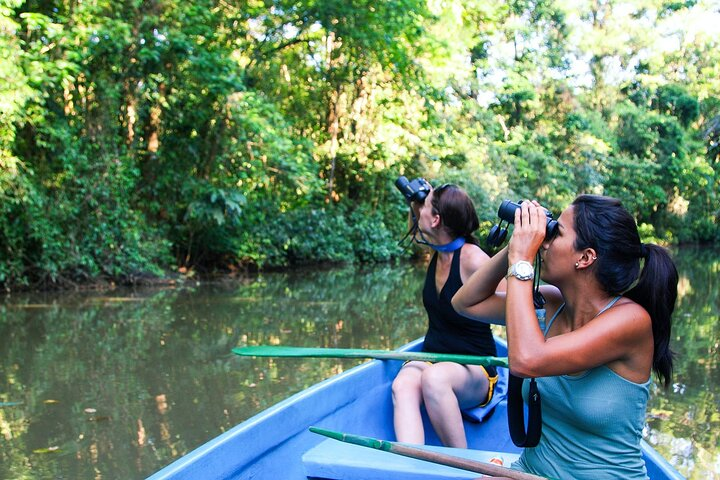 Tortuguero: All-inclusive Package 2 nights 3 days from San José - Photo 1 of 7